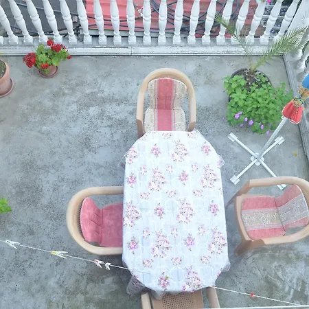 Prenociste Orhideja Inn *